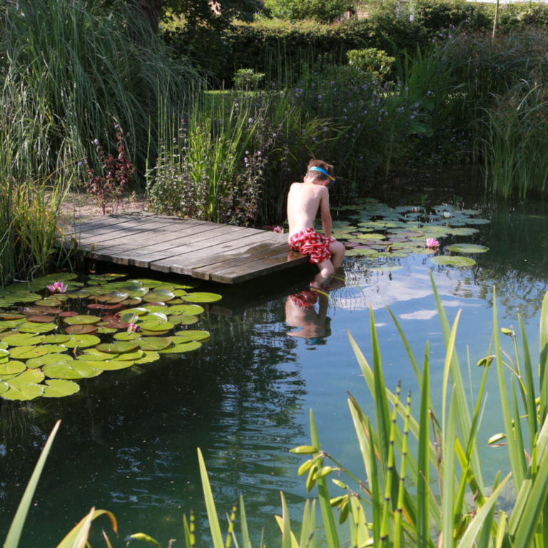 Ottawa Landscaping Services | Swimming Ponds